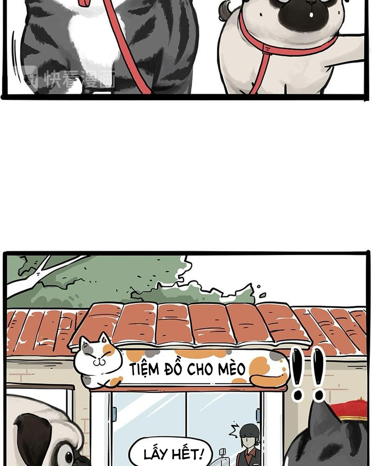 Hoàng Thượng Và Ba Trát Hắc Chapter 258 - Trang 2
