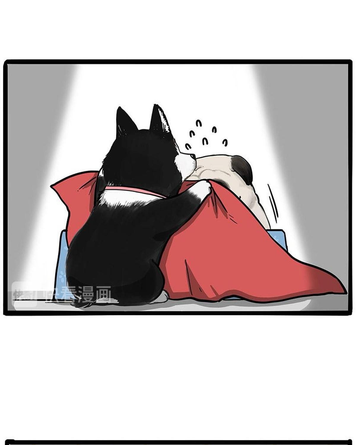 Hoàng Thượng Và Ba Trát Hắc Chapter 259 - Trang 2