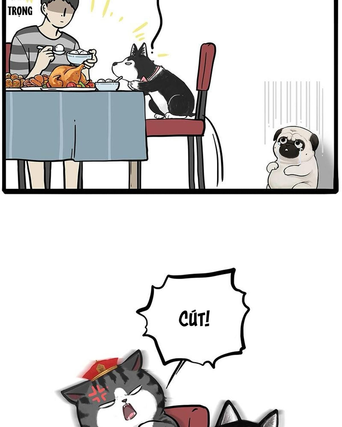 Hoàng Thượng Và Ba Trát Hắc Chapter 259 - Trang 2