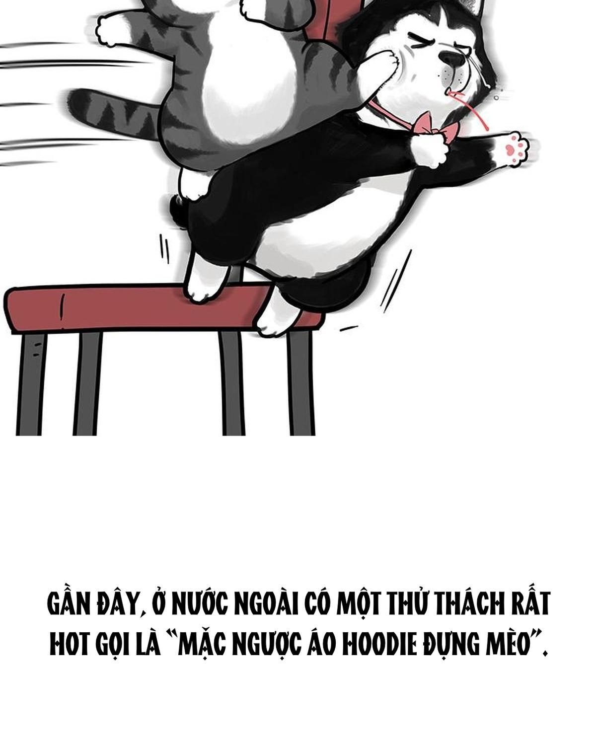 Hoàng Thượng Và Ba Trát Hắc Chapter 259 - Trang 2