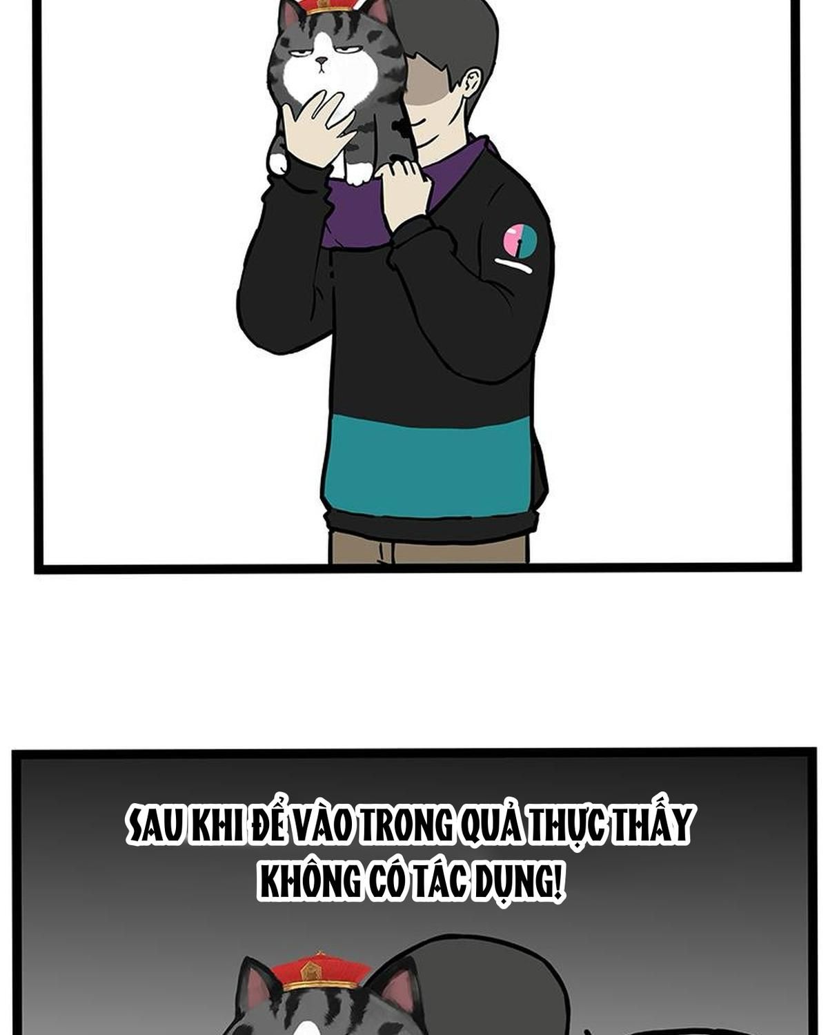 Hoàng Thượng Và Ba Trát Hắc Chapter 259 - Trang 2