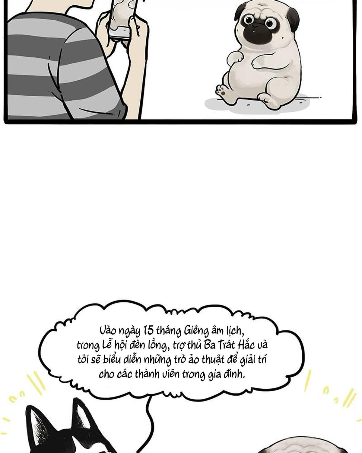 Hoàng Thượng Và Ba Trát Hắc Chapter 259 - Trang 2