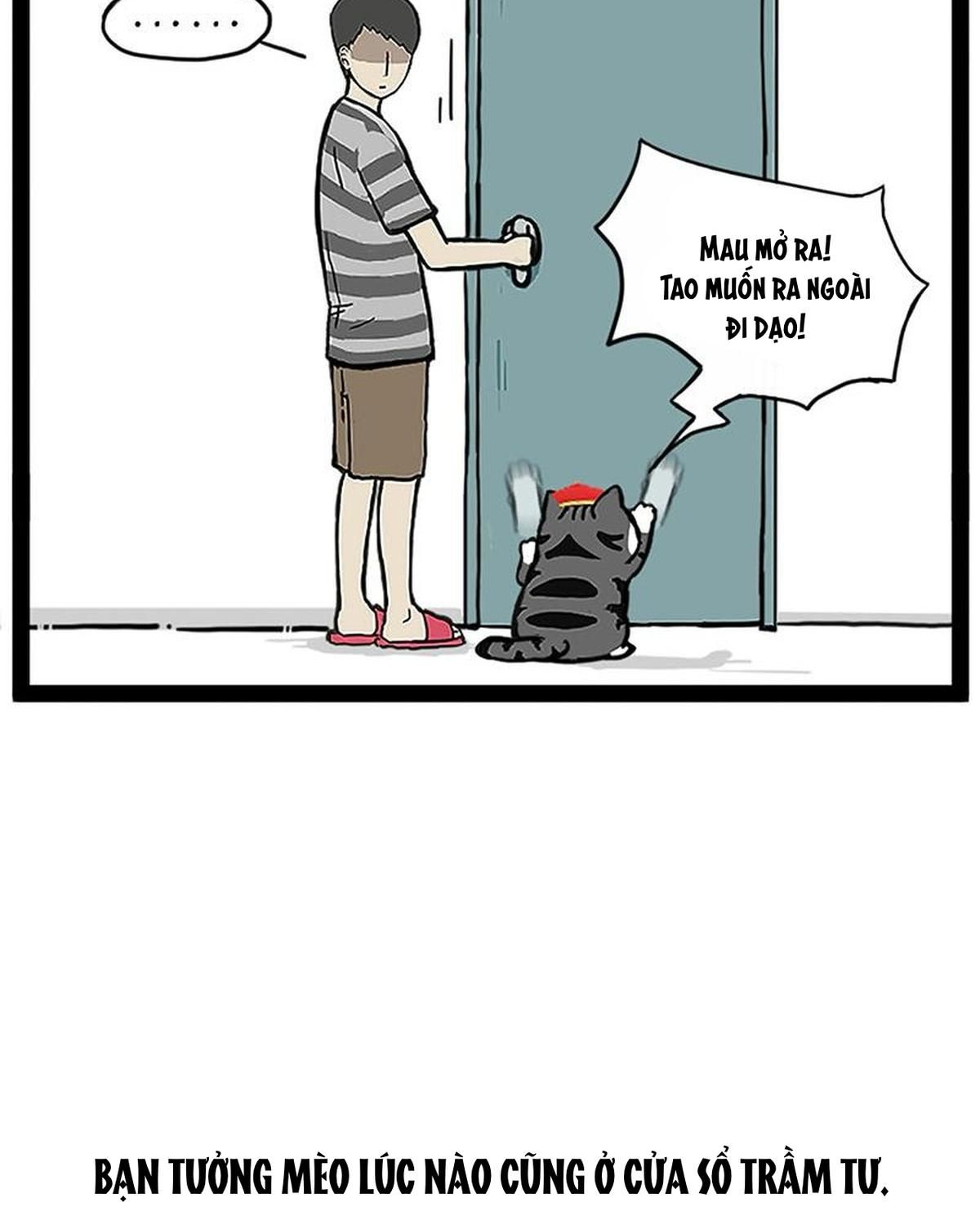 Hoàng Thượng Và Ba Trát Hắc Chapter 260 - Trang 2