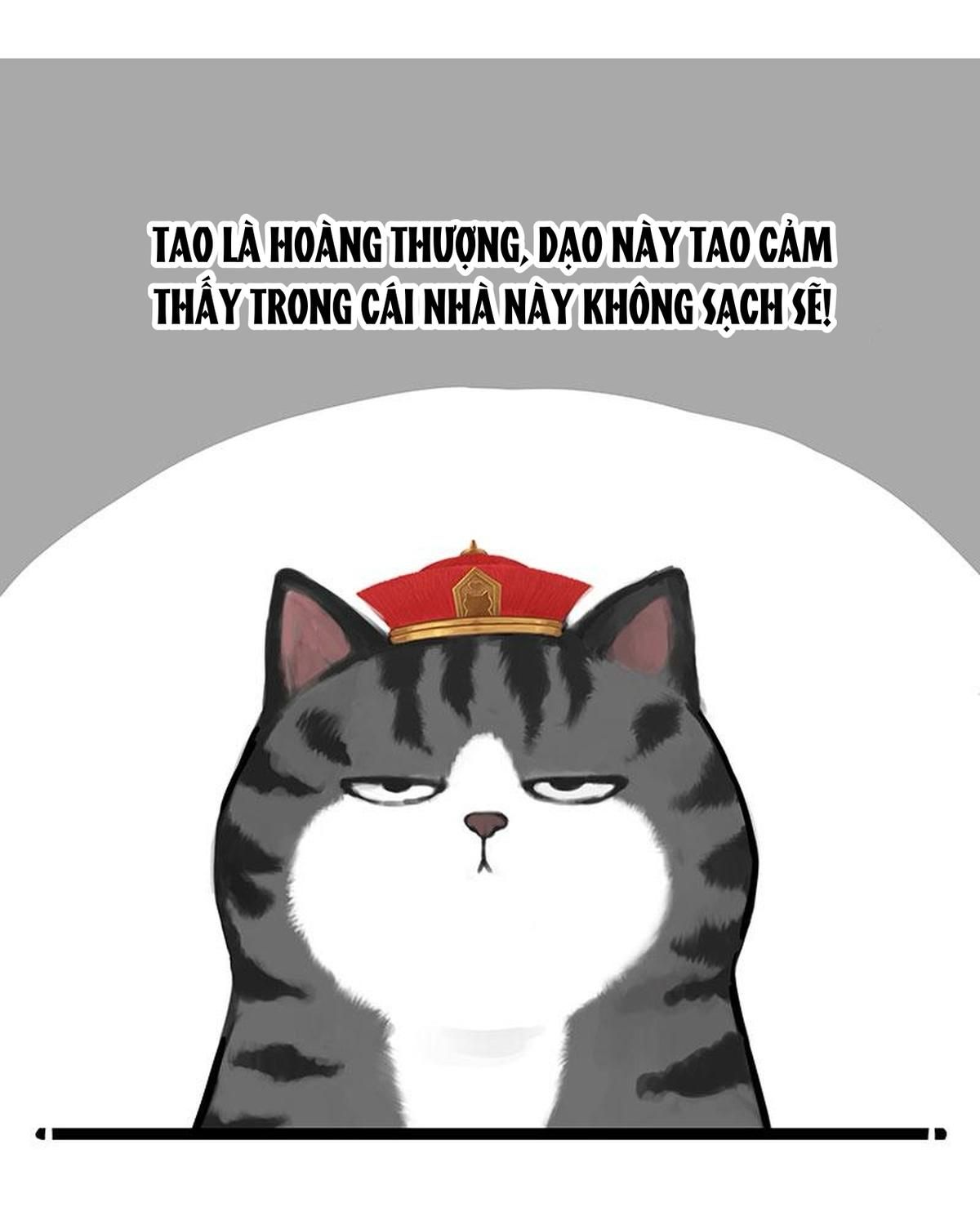 Hoàng Thượng Và Ba Trát Hắc Chapter 260 - Trang 2