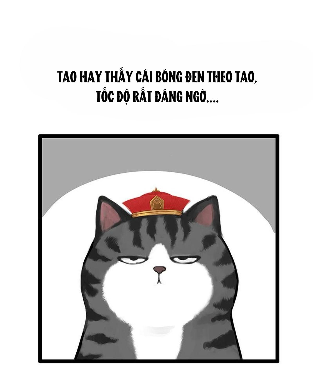 Hoàng Thượng Và Ba Trát Hắc Chapter 260 - Trang 2