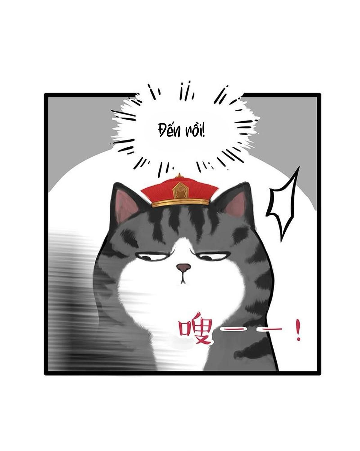 Hoàng Thượng Và Ba Trát Hắc Chapter 260 - Trang 2