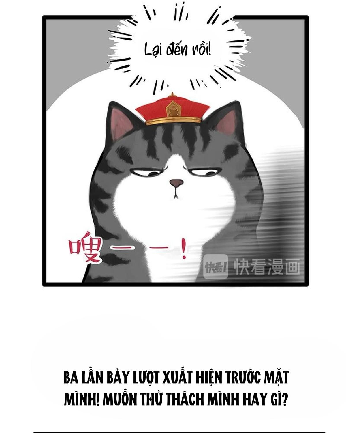 Hoàng Thượng Và Ba Trát Hắc Chapter 260 - Trang 2