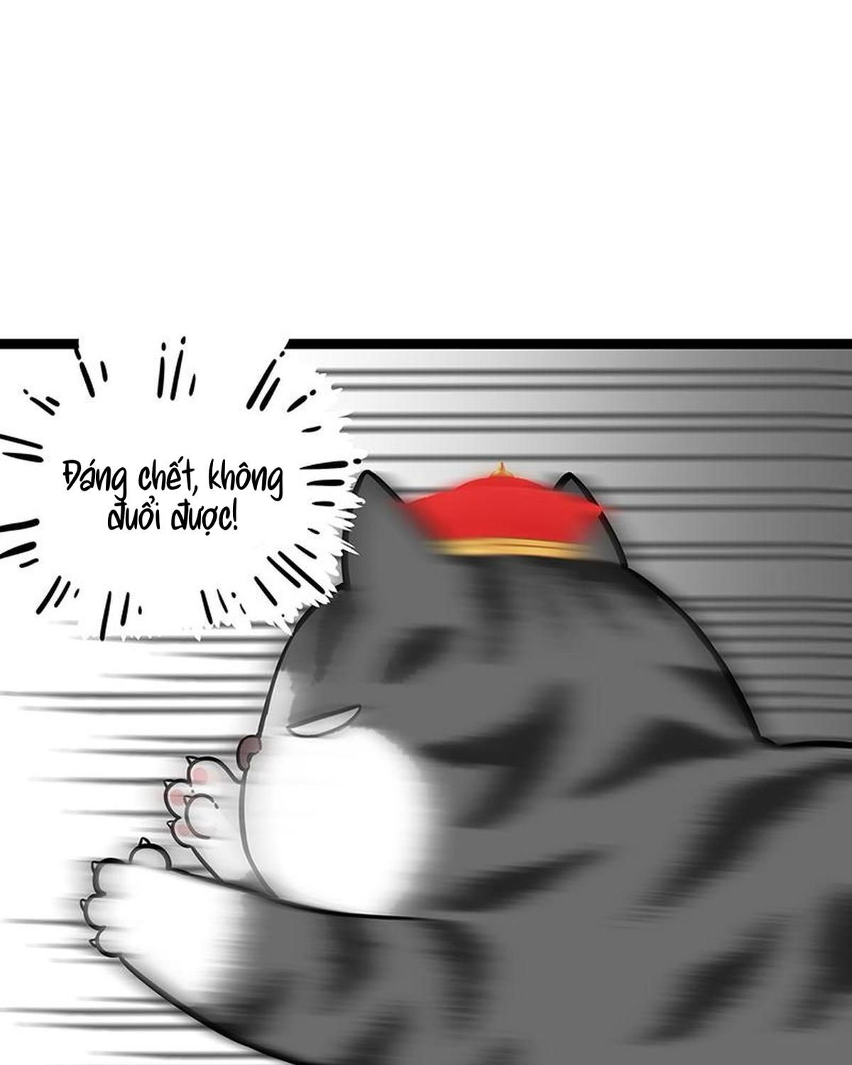 Hoàng Thượng Và Ba Trát Hắc Chapter 260 - Trang 2