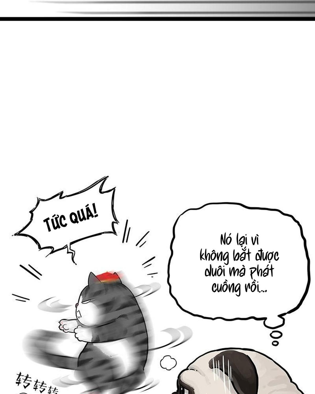 Hoàng Thượng Và Ba Trát Hắc Chapter 260 - Trang 2