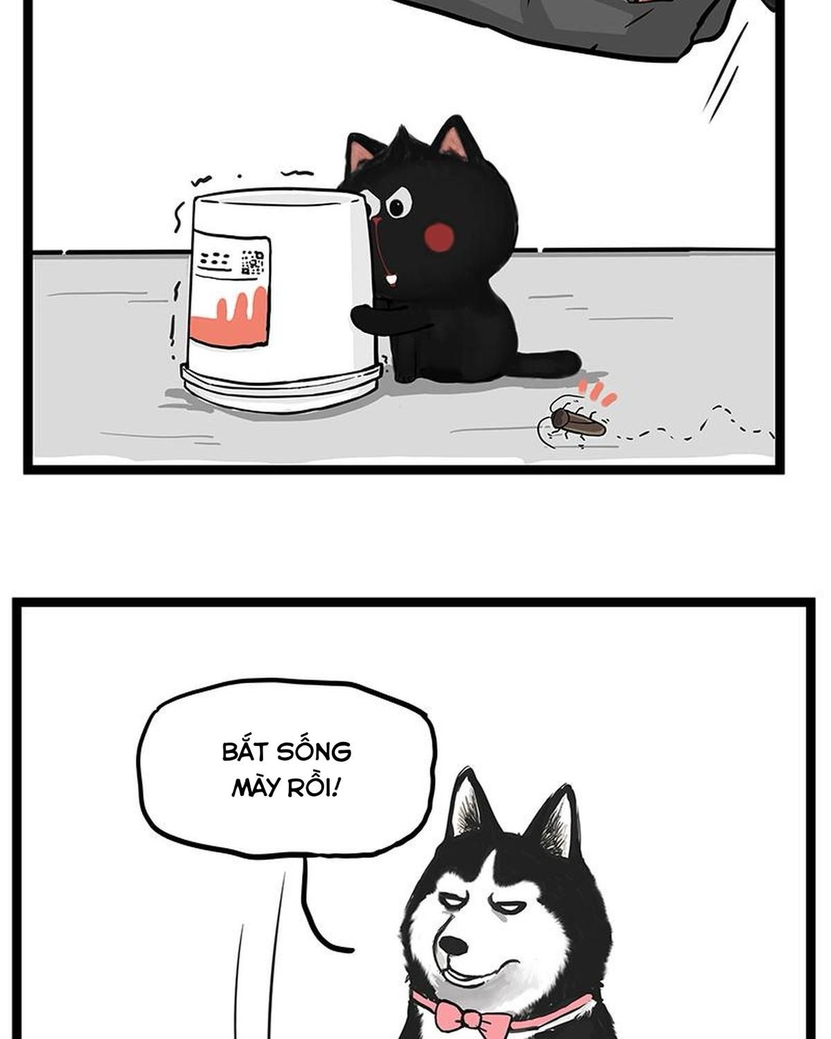Hoàng Thượng Và Ba Trát Hắc Chapter 261 - Trang 2