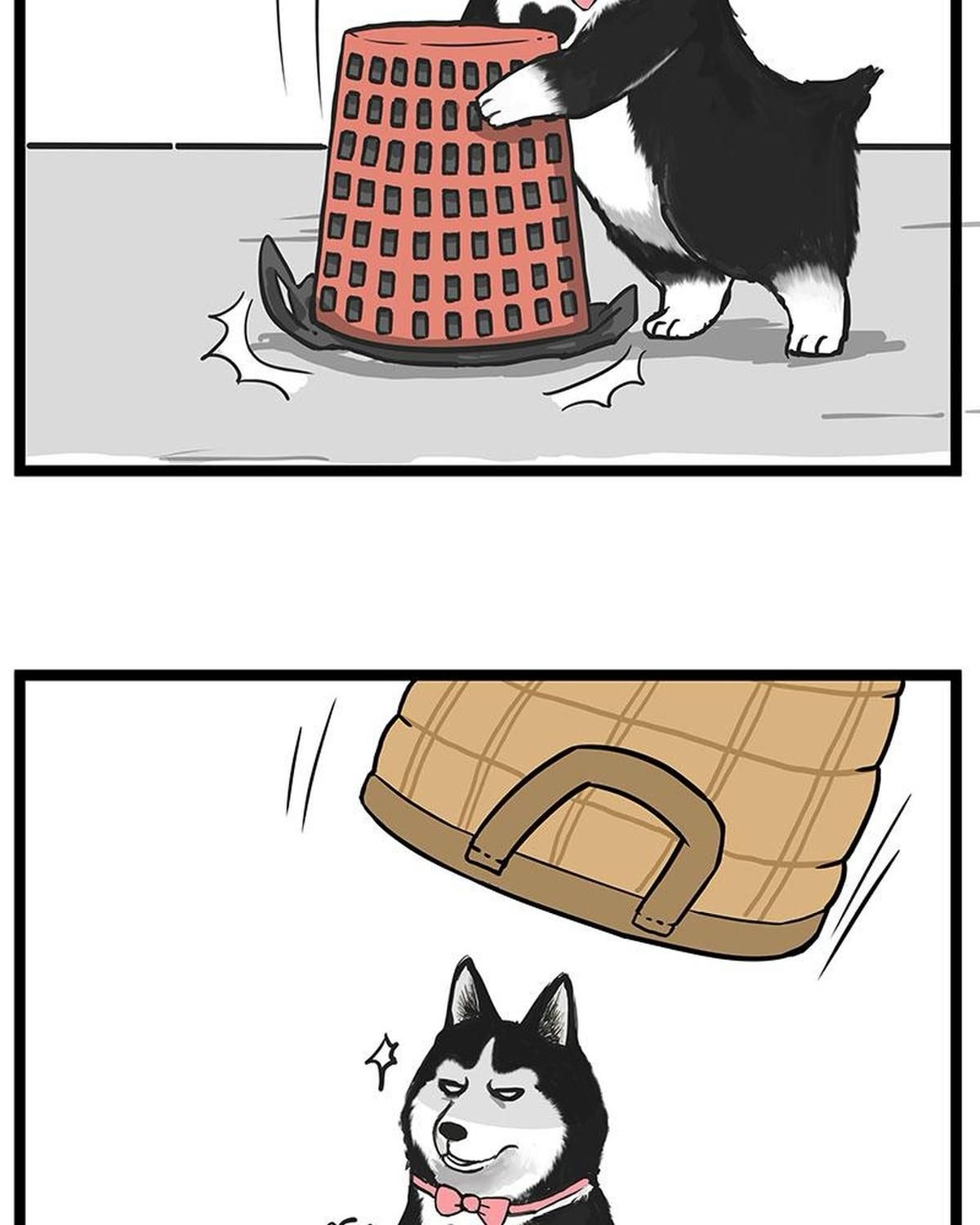 Hoàng Thượng Và Ba Trát Hắc Chapter 261 - Trang 2