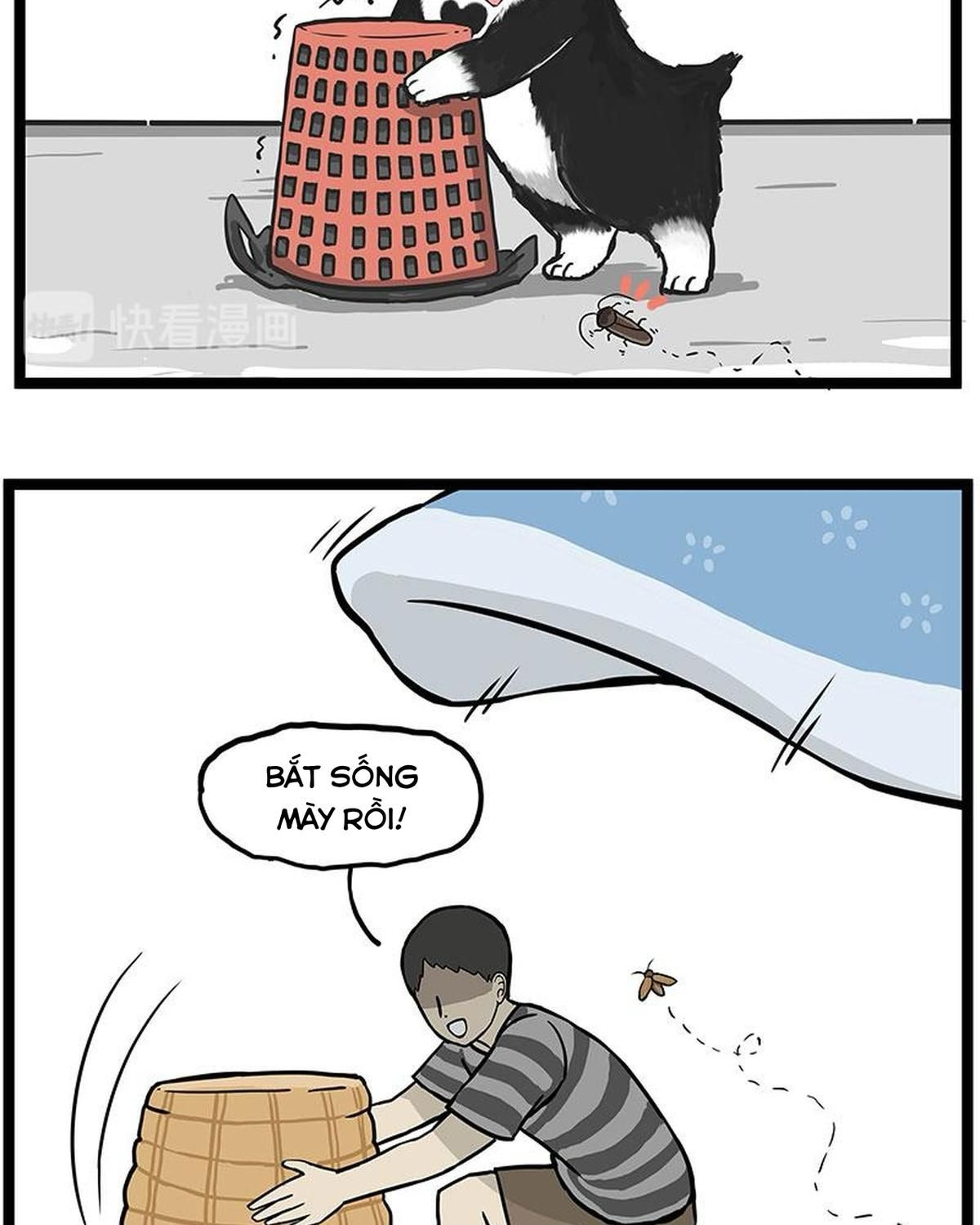 Hoàng Thượng Và Ba Trát Hắc Chapter 261 - Trang 2