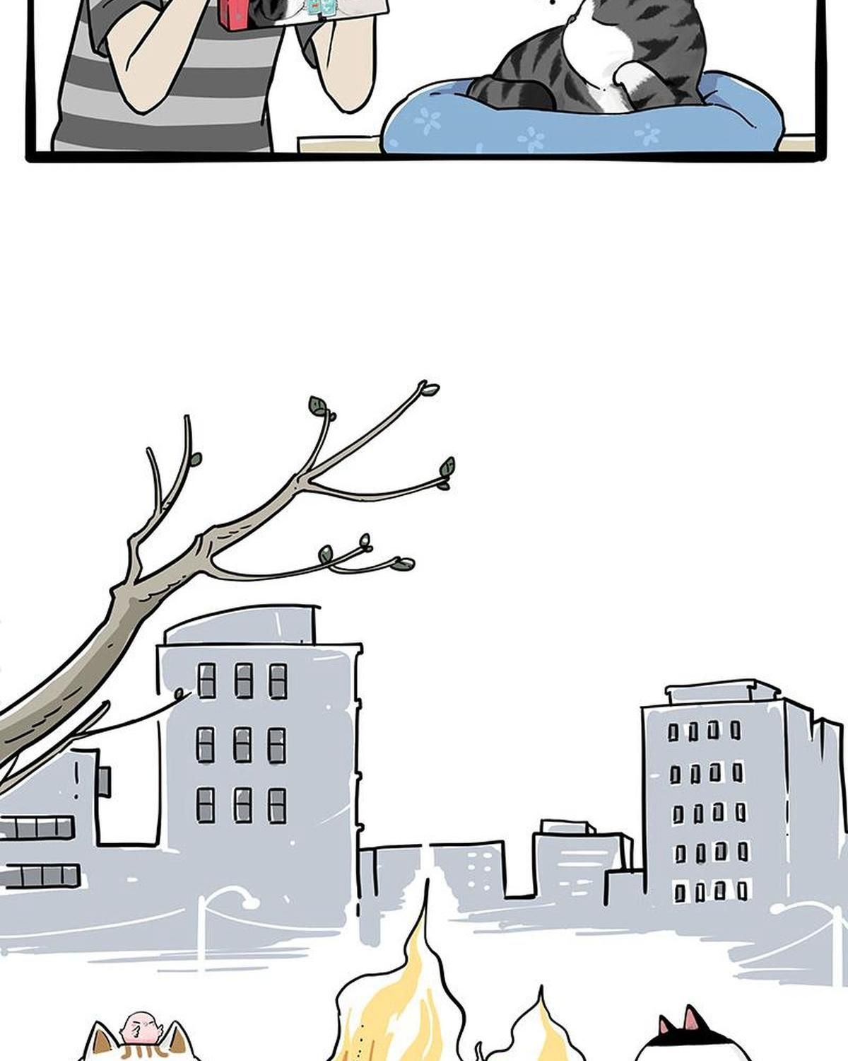 Hoàng Thượng Và Ba Trát Hắc Chapter 261 - Trang 2