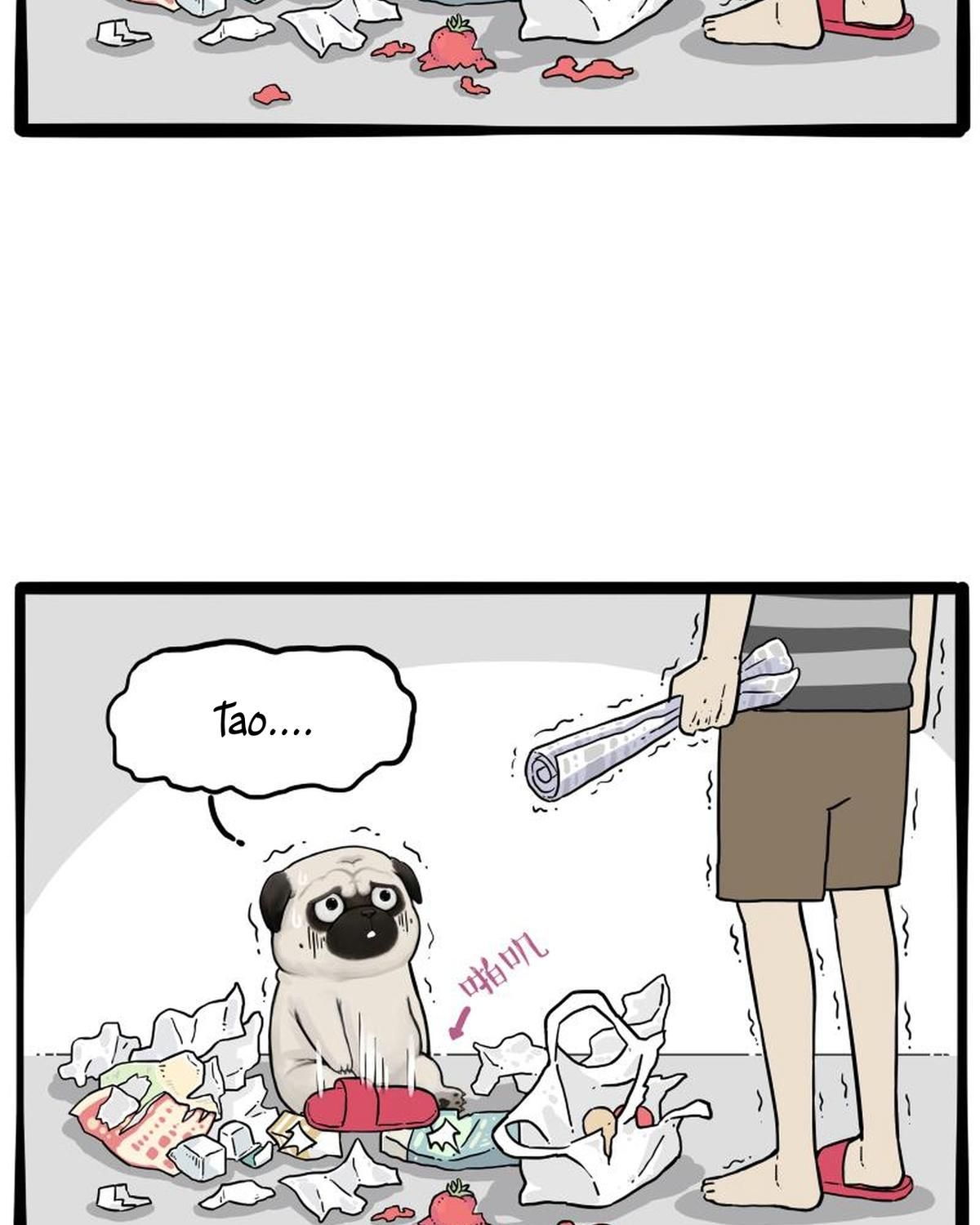 Hoàng Thượng Và Ba Trát Hắc Chapter 261 - Trang 2