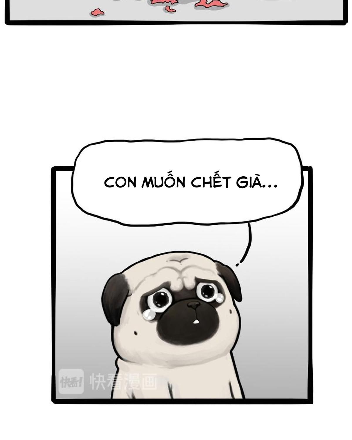 Hoàng Thượng Và Ba Trát Hắc Chapter 261 - Trang 2