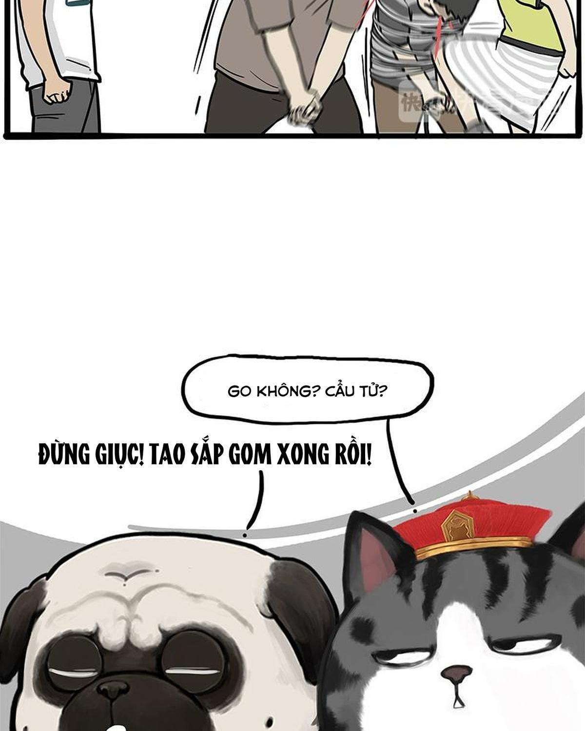 Hoàng Thượng Và Ba Trát Hắc Chapter 262 - Trang 2