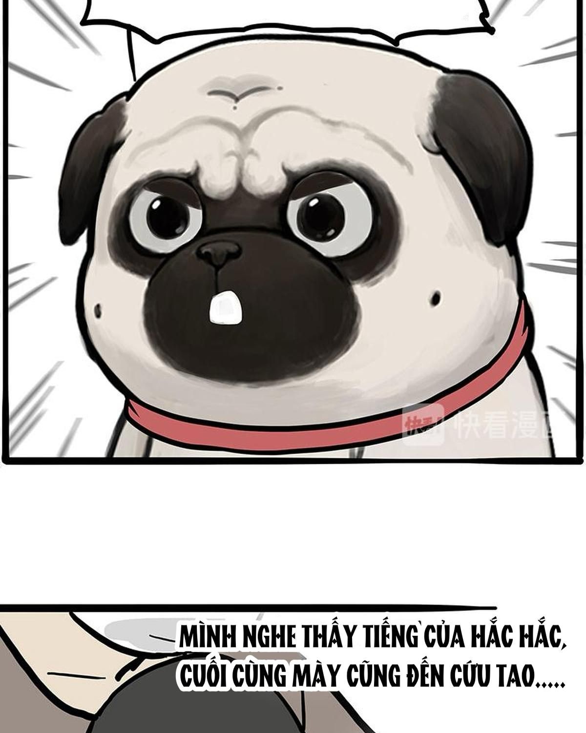 Hoàng Thượng Và Ba Trát Hắc Chapter 262 - Trang 2