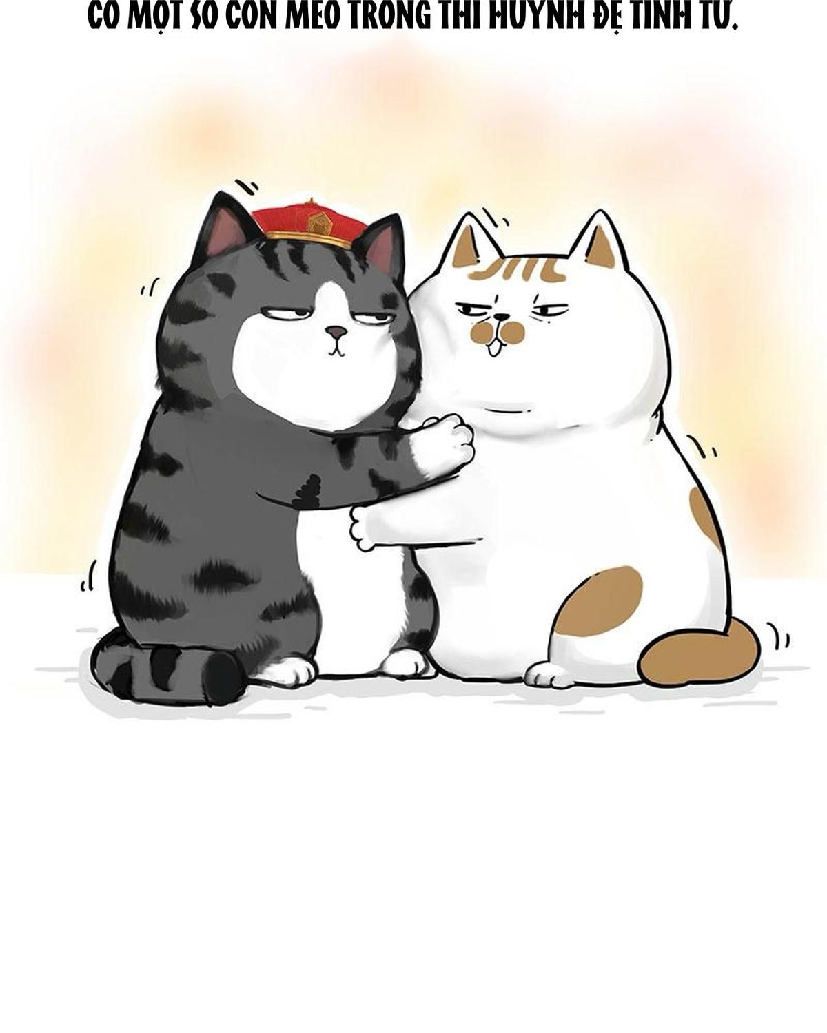 Hoàng Thượng Và Ba Trát Hắc Chapter 263 - Trang 2