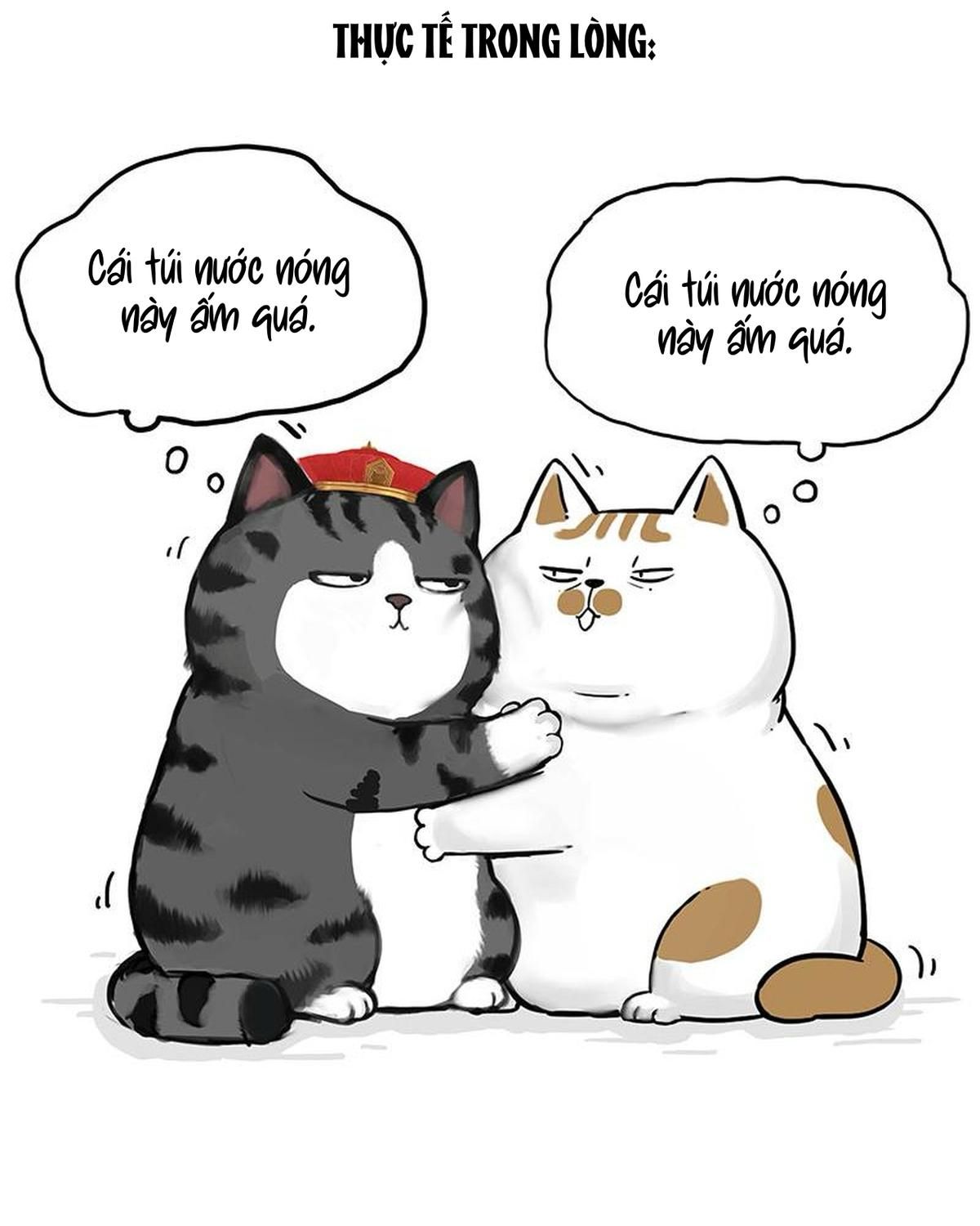 Hoàng Thượng Và Ba Trát Hắc Chapter 263 - Trang 2