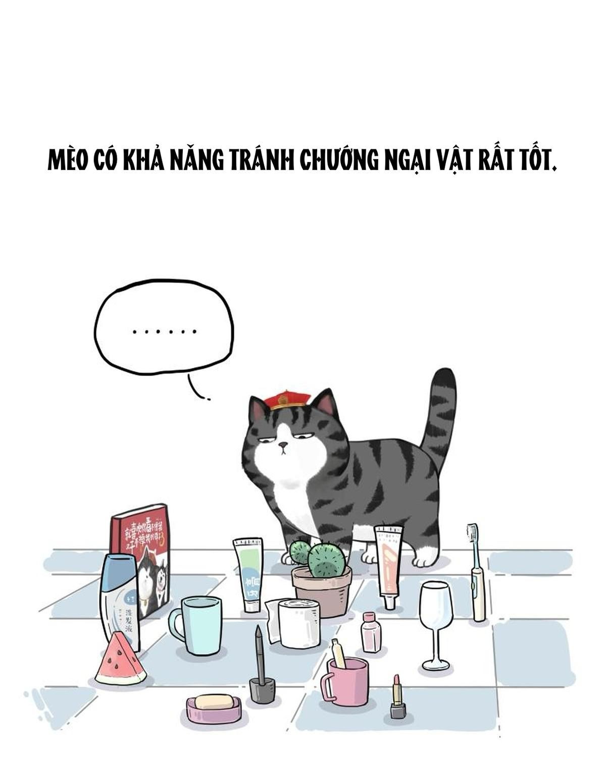 Hoàng Thượng Và Ba Trát Hắc Chapter 263 - Trang 2