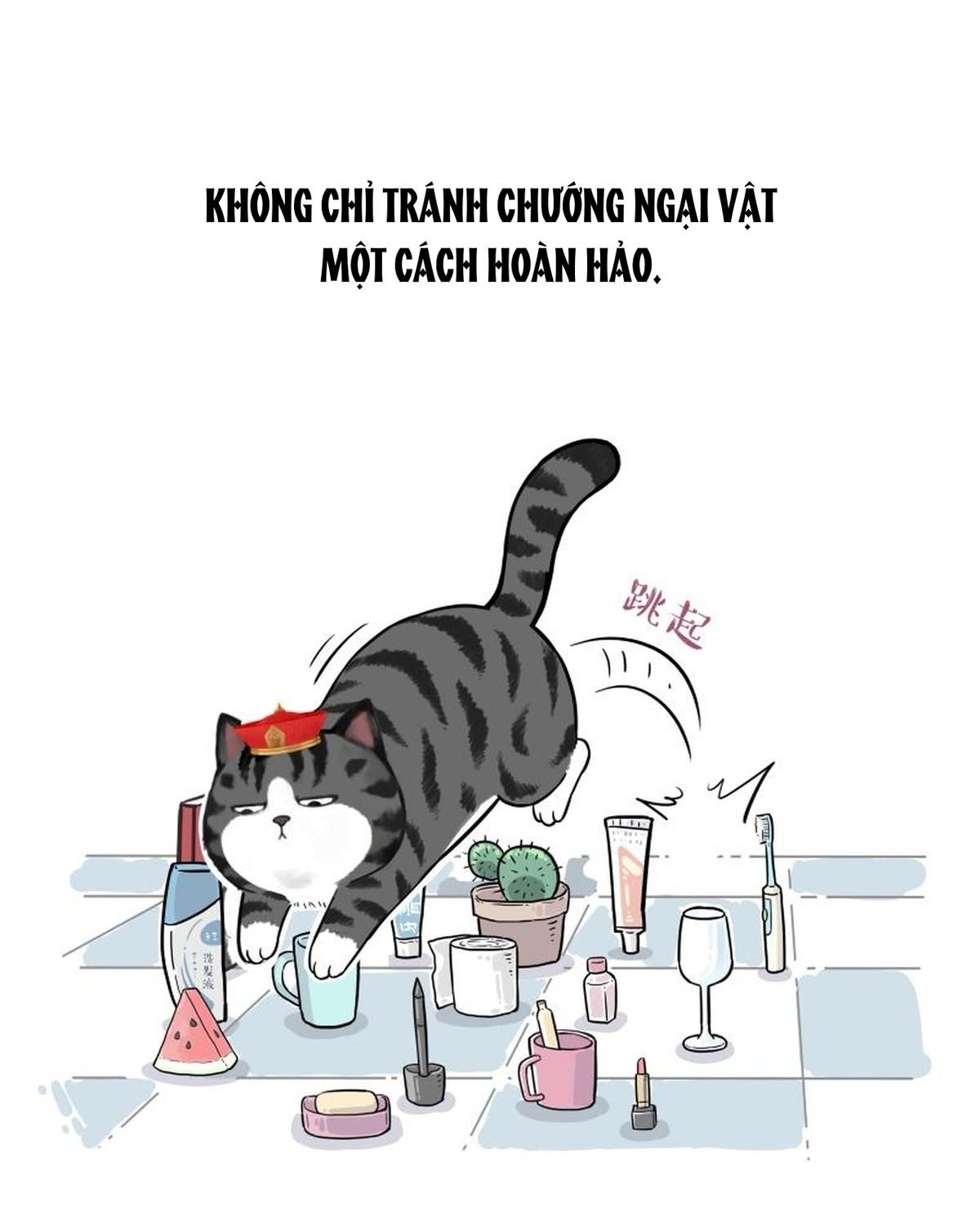 Hoàng Thượng Và Ba Trát Hắc Chapter 263 - Trang 2