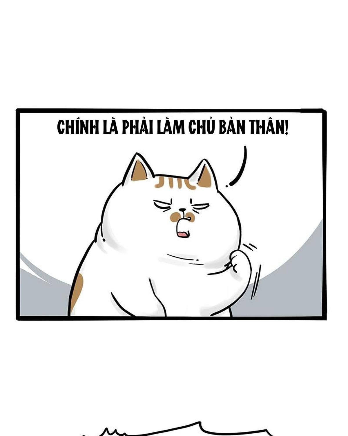 Hoàng Thượng Và Ba Trát Hắc Chapter 263 - Trang 2