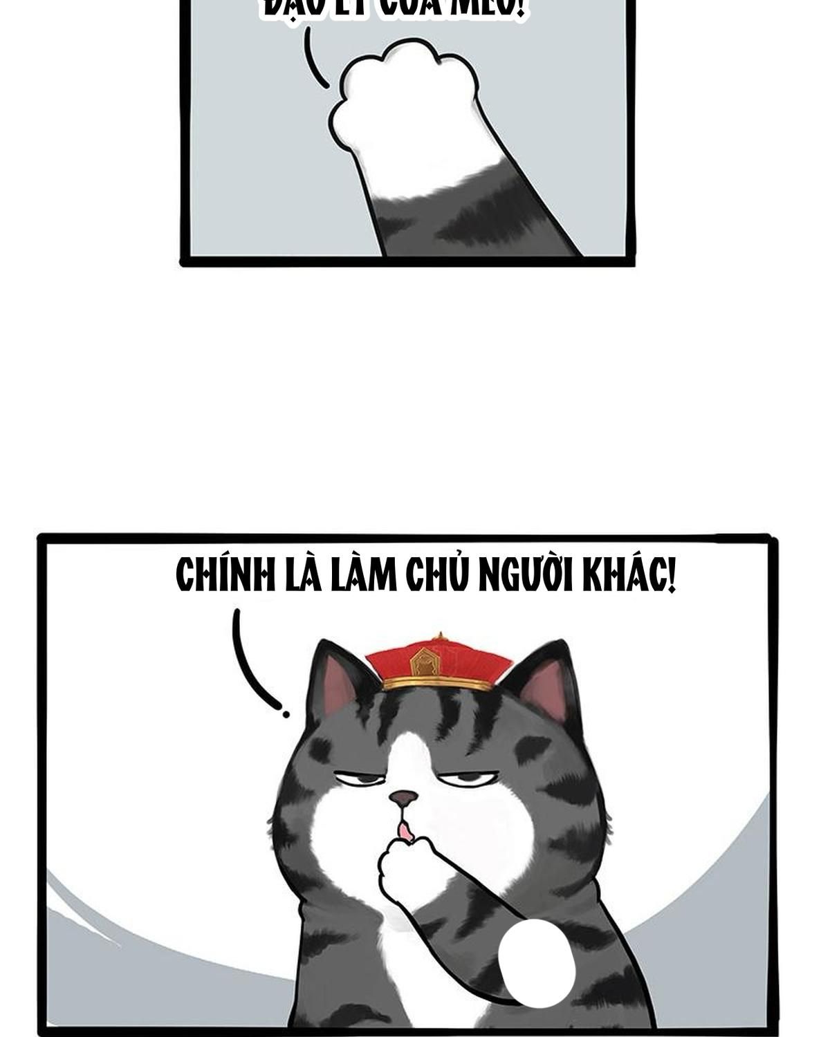 Hoàng Thượng Và Ba Trát Hắc Chapter 263 - Trang 2