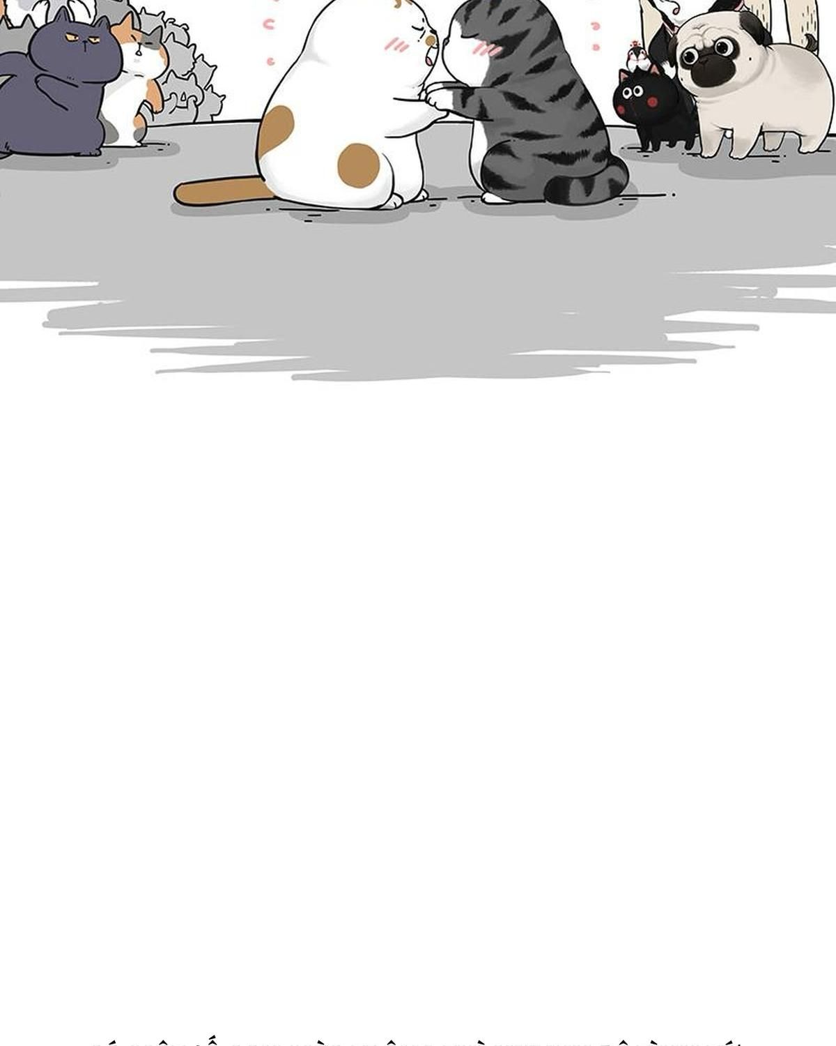 Hoàng Thượng Và Ba Trát Hắc Chapter 263 - Trang 2