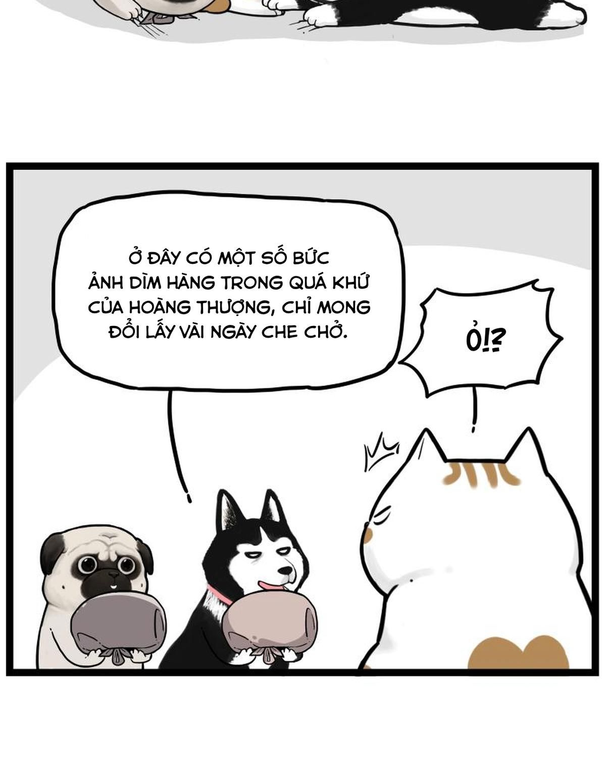Hoàng Thượng Và Ba Trát Hắc Chapter 264 - Trang 2