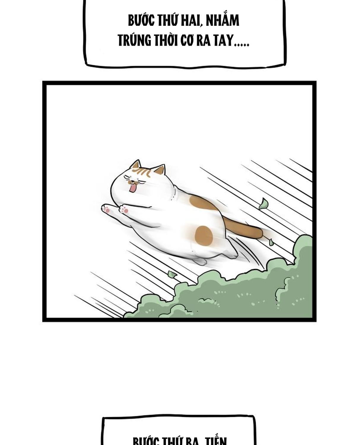 Hoàng Thượng Và Ba Trát Hắc Chapter 264 - Trang 2