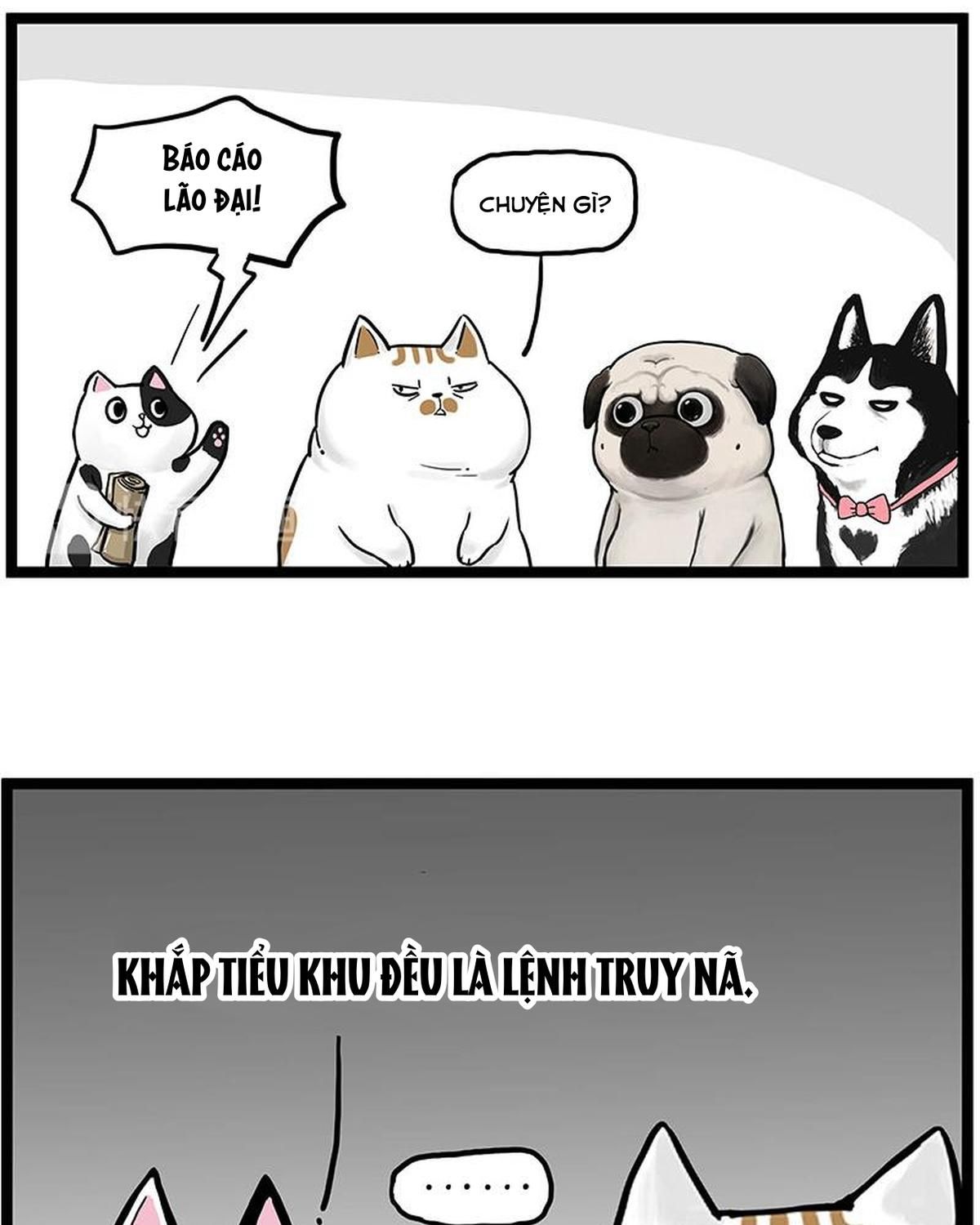 Hoàng Thượng Và Ba Trát Hắc Chapter 264 - Trang 2