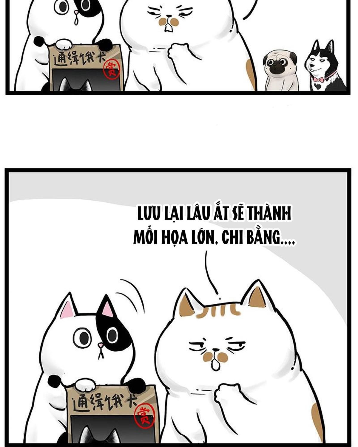 Hoàng Thượng Và Ba Trát Hắc Chapter 264 - Trang 2