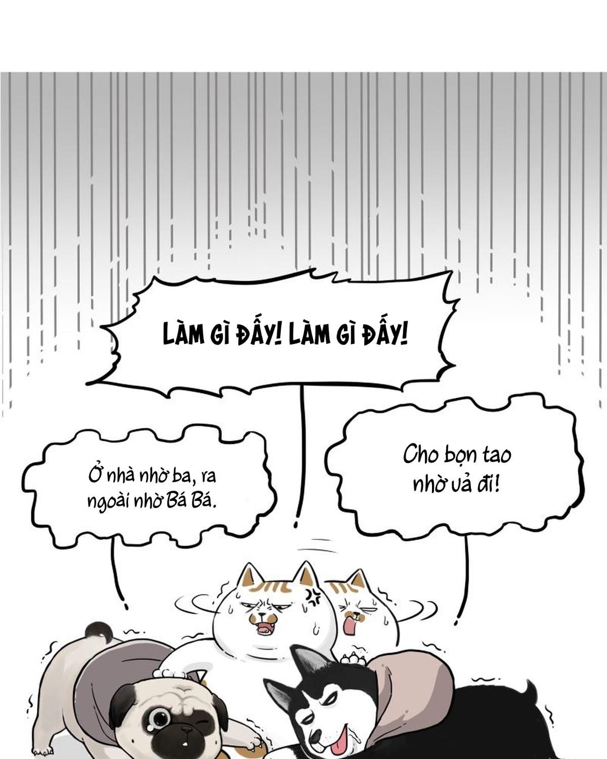 Hoàng Thượng Và Ba Trát Hắc Chapter 264 - Trang 2