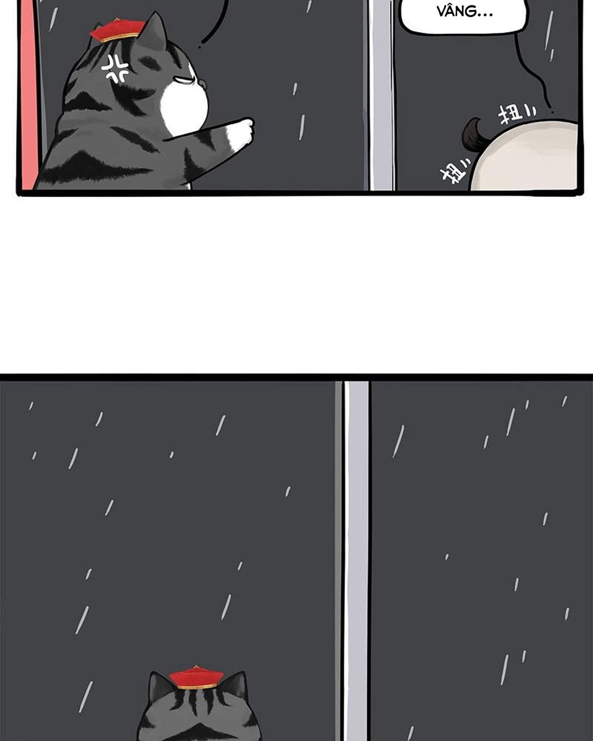 Hoàng Thượng Và Ba Trát Hắc Chapter 265 - Trang 2