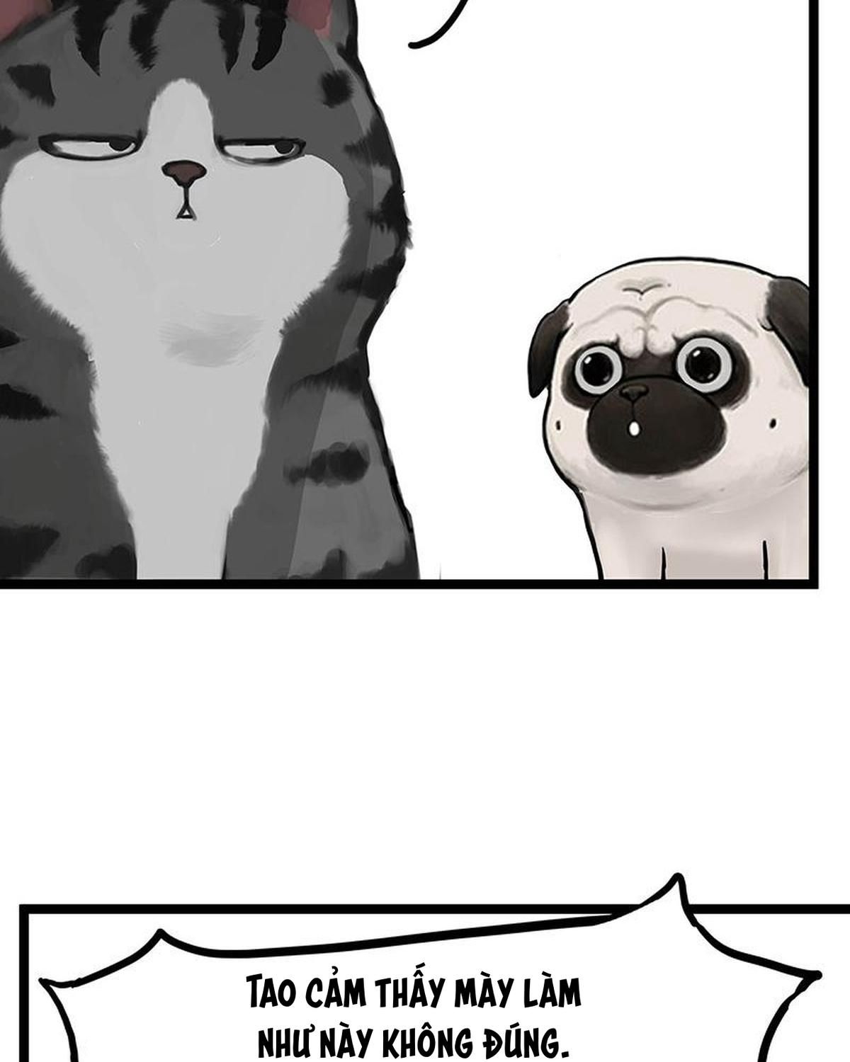 Hoàng Thượng Và Ba Trát Hắc Chapter 266 - Trang 2