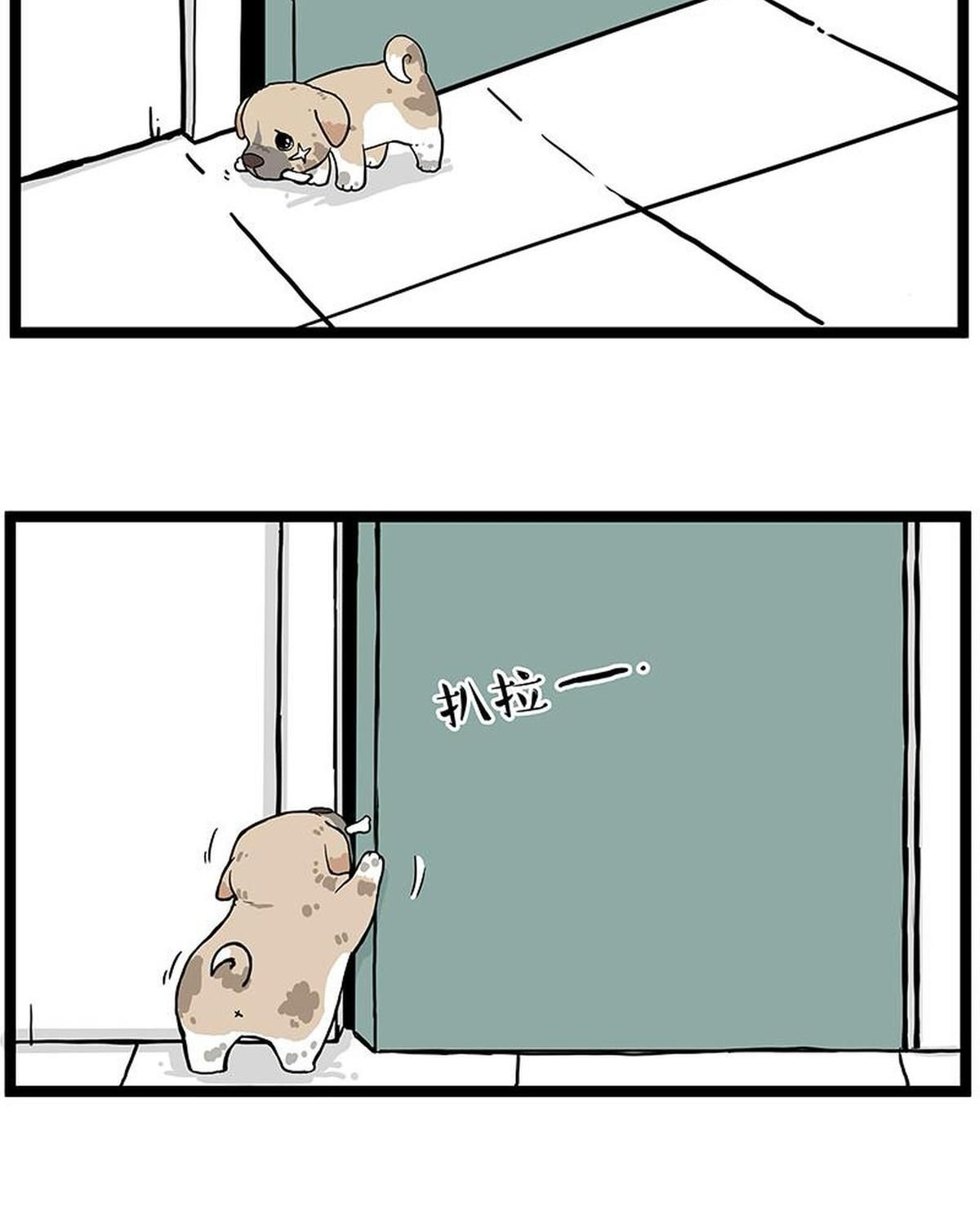 Hoàng Thượng Và Ba Trát Hắc Chapter 266 - Trang 2