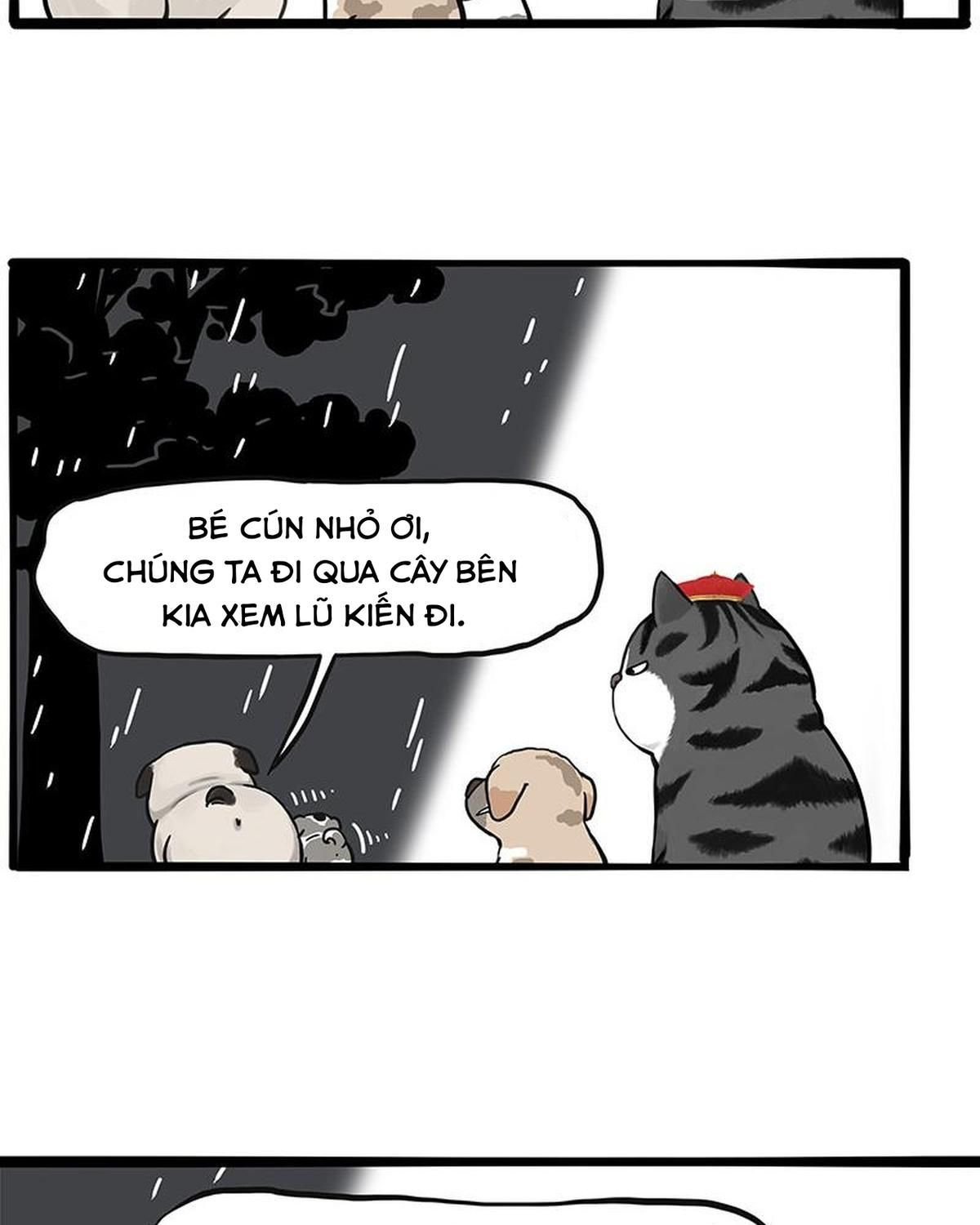 Hoàng Thượng Và Ba Trát Hắc Chapter 267 - Trang 2