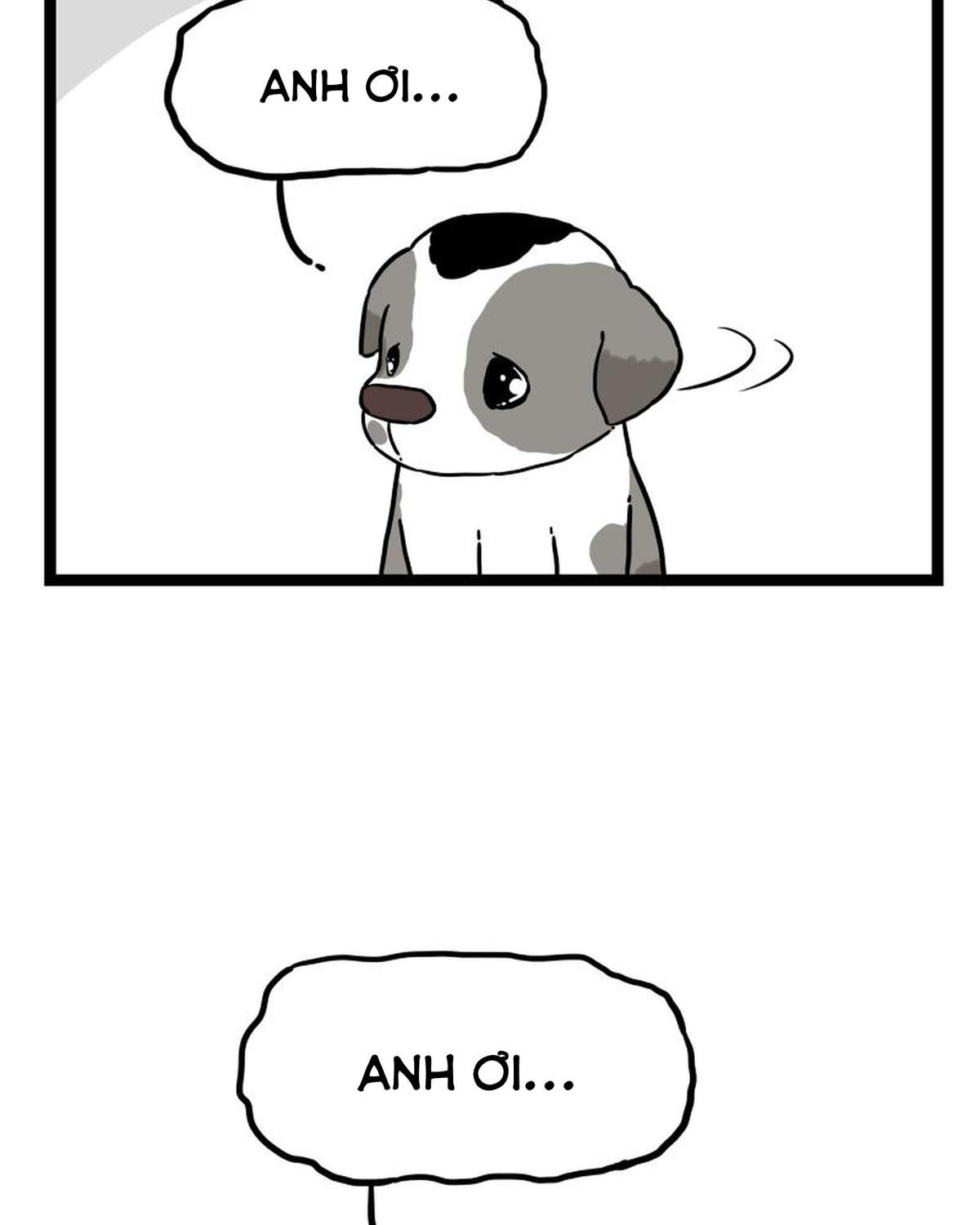 Hoàng Thượng Và Ba Trát Hắc Chapter 267 - Trang 2