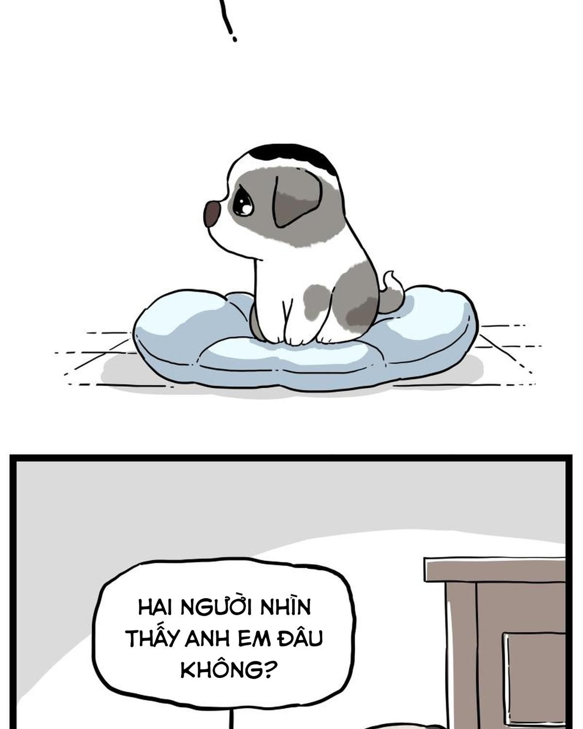 Hoàng Thượng Và Ba Trát Hắc Chapter 267 - Trang 2