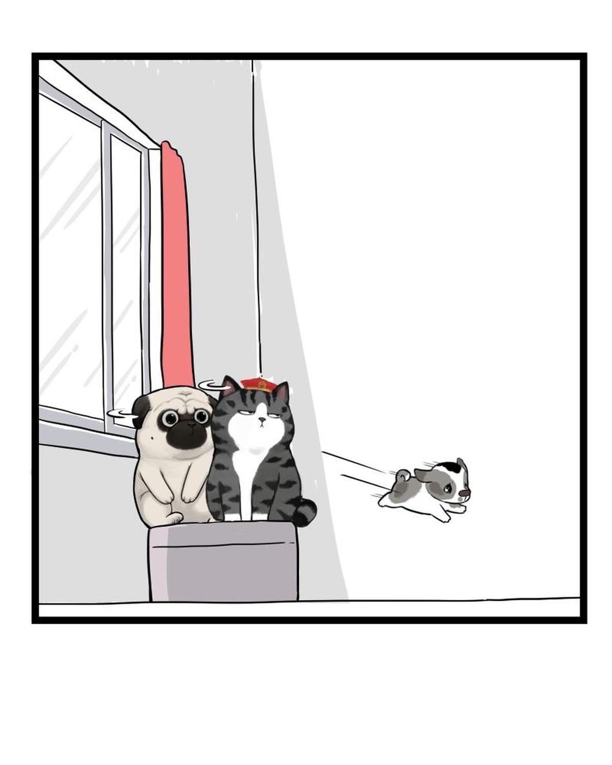 Hoàng Thượng Và Ba Trát Hắc Chapter 267 - Trang 2