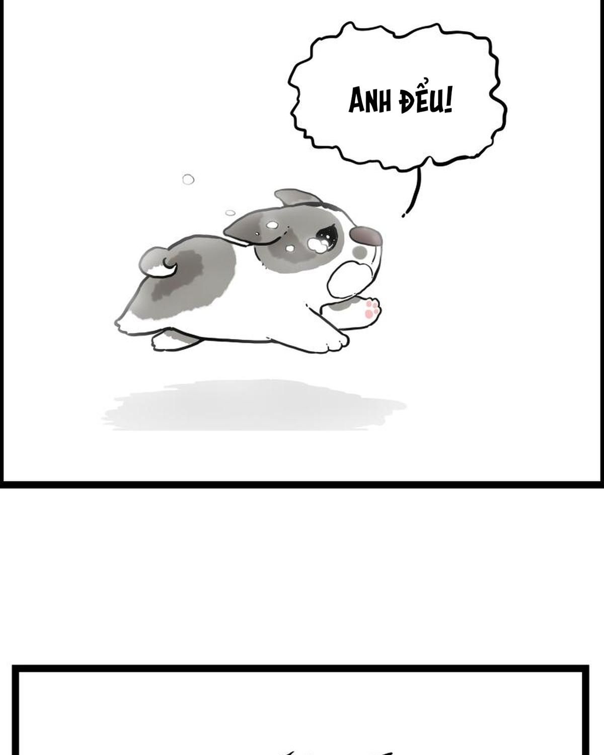 Hoàng Thượng Và Ba Trát Hắc Chapter 267 - Trang 2