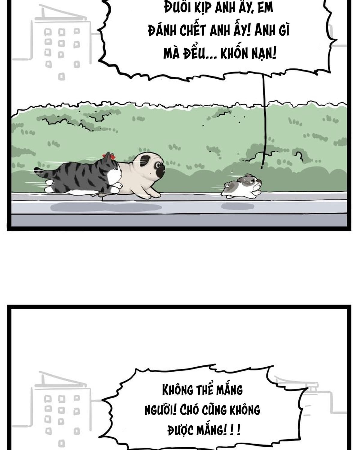 Hoàng Thượng Và Ba Trát Hắc Chapter 267 - Trang 2