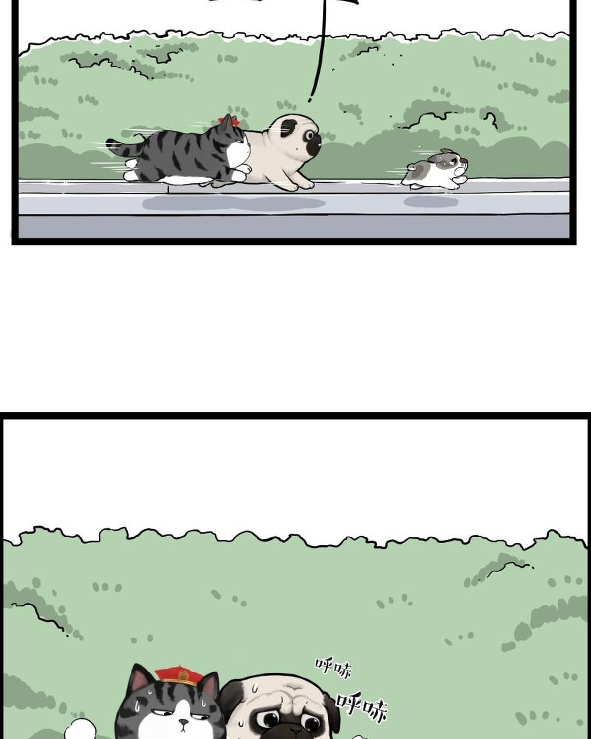 Hoàng Thượng Và Ba Trát Hắc Chapter 267 - Trang 2