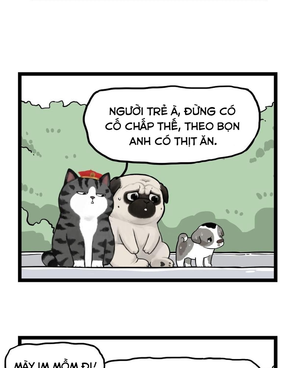 Hoàng Thượng Và Ba Trát Hắc Chapter 267 - Trang 2