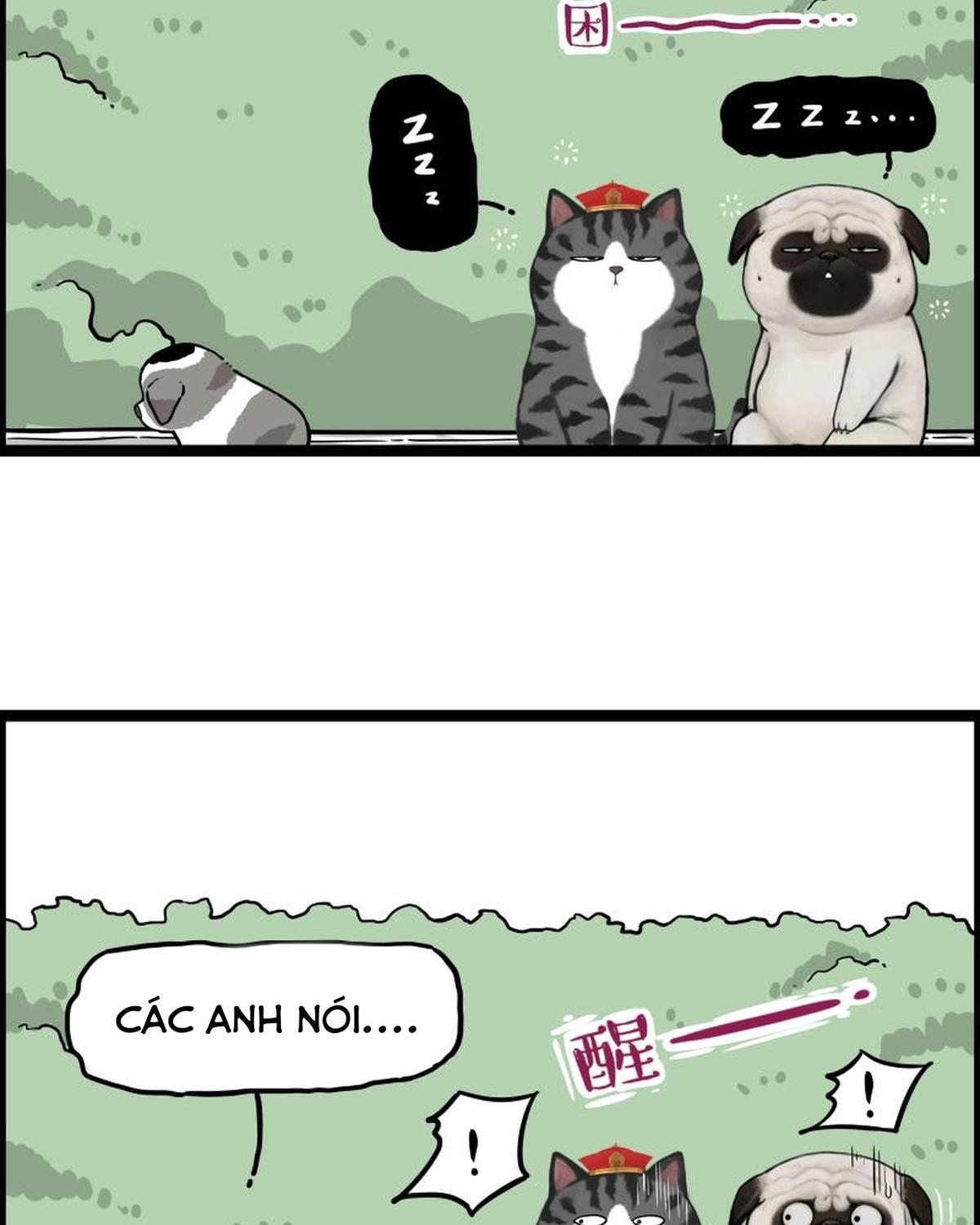 Hoàng Thượng Và Ba Trát Hắc Chapter 267 - Trang 2