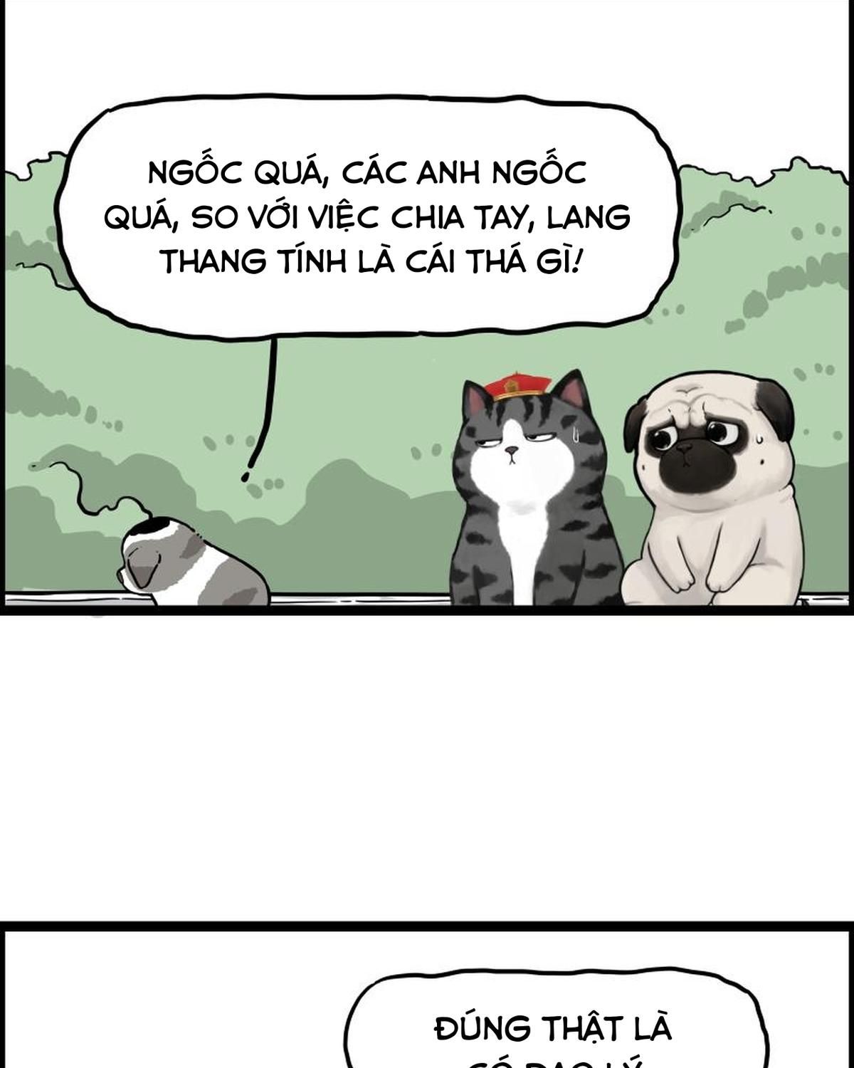 Hoàng Thượng Và Ba Trát Hắc Chapter 267 - Trang 2