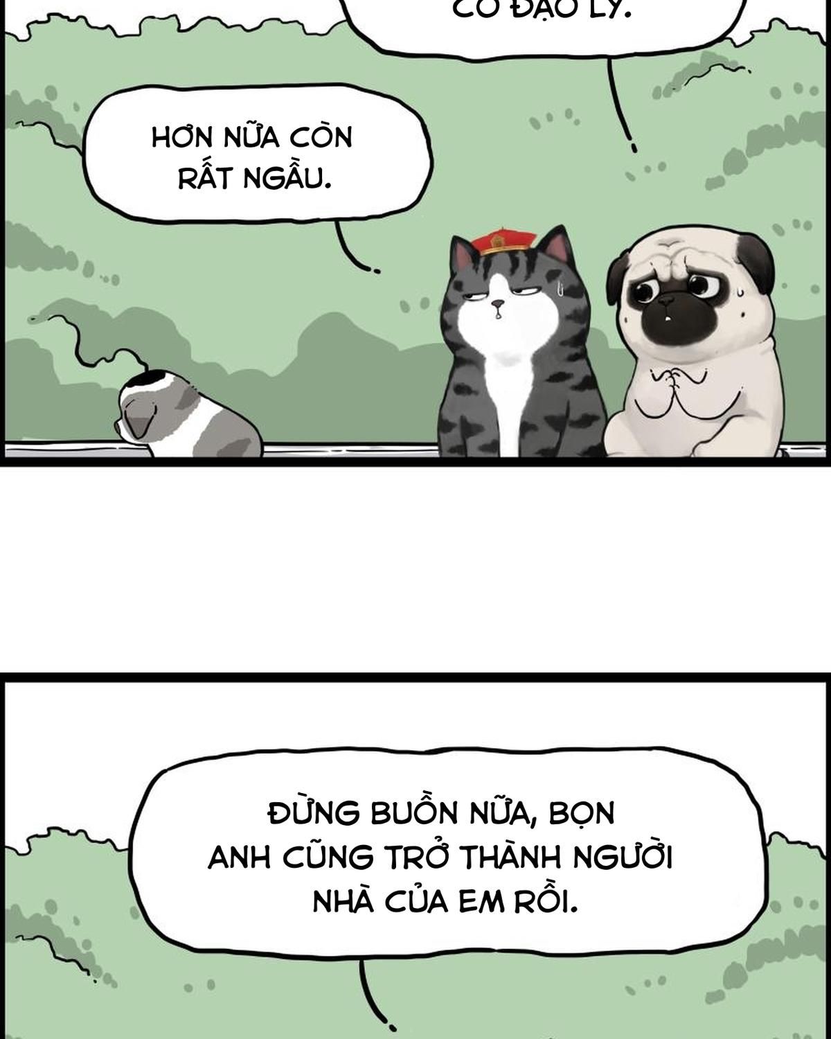 Hoàng Thượng Và Ba Trát Hắc Chapter 267 - Trang 2