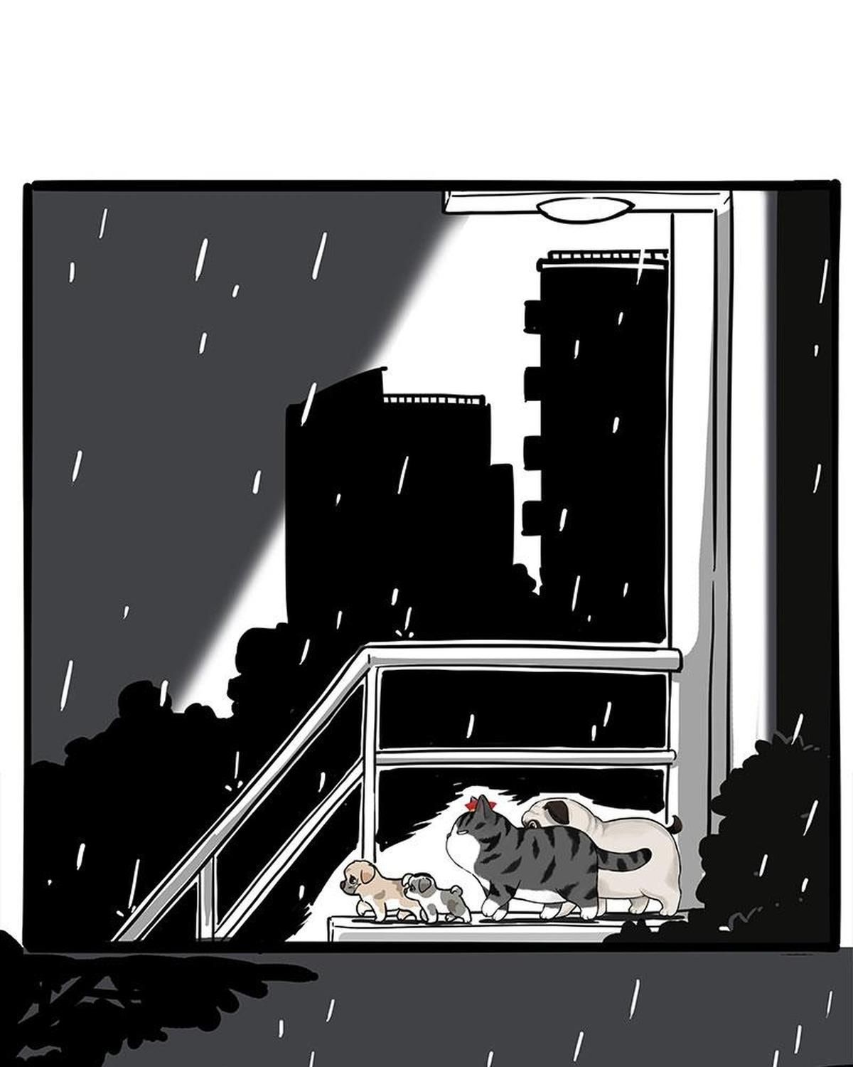 Hoàng Thượng Và Ba Trát Hắc Chapter 267 - Trang 2