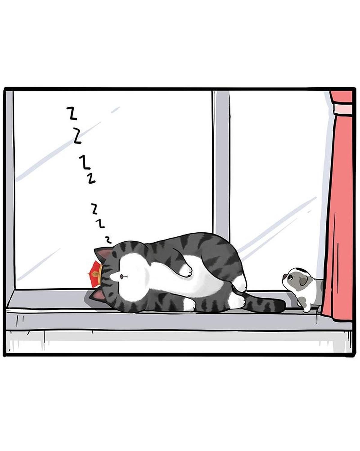 Hoàng Thượng Và Ba Trát Hắc Chapter 269 - Trang 2