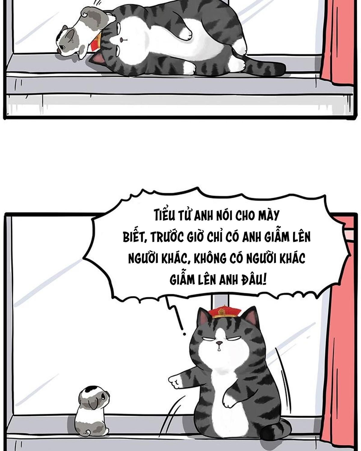 Hoàng Thượng Và Ba Trát Hắc Chapter 269 - Trang 2